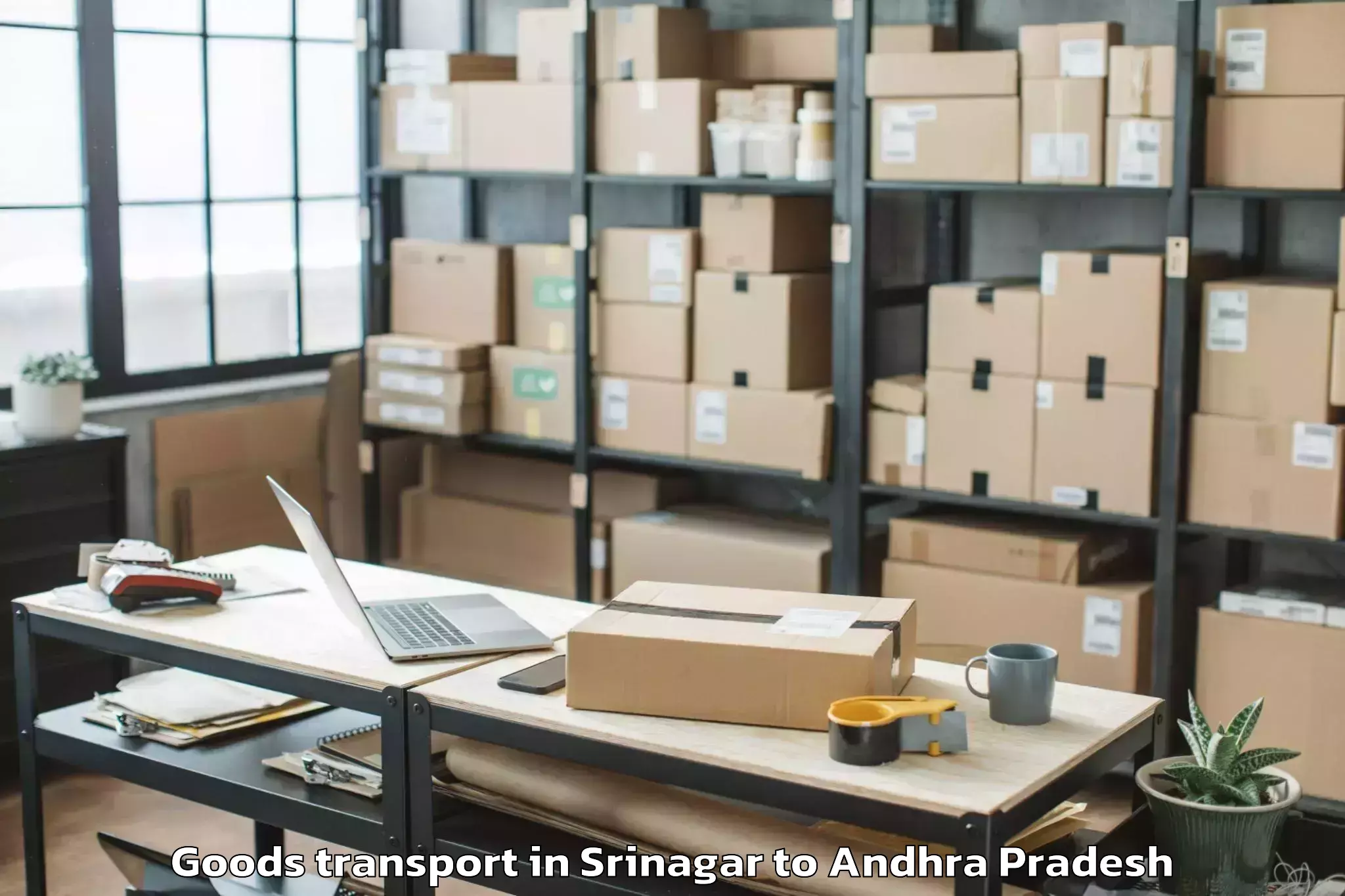 Top Srinagar to Guntur Goods Transport Available